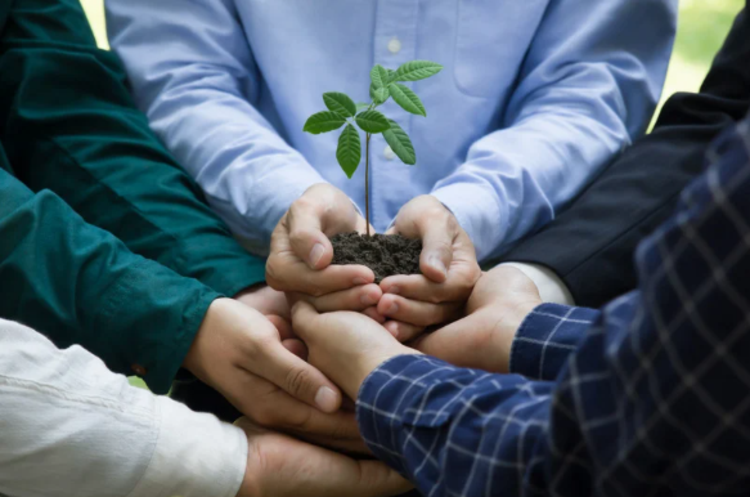 group holding plant